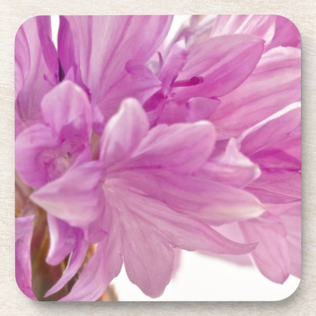 Porta-copo Botão Batchelor (Frente)