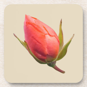 Porta-copo Botão de Rosa Rosa