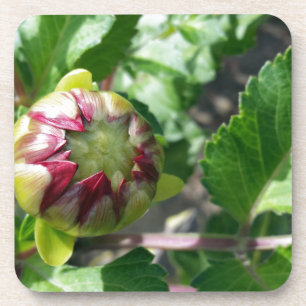 Porta-copo botão outono