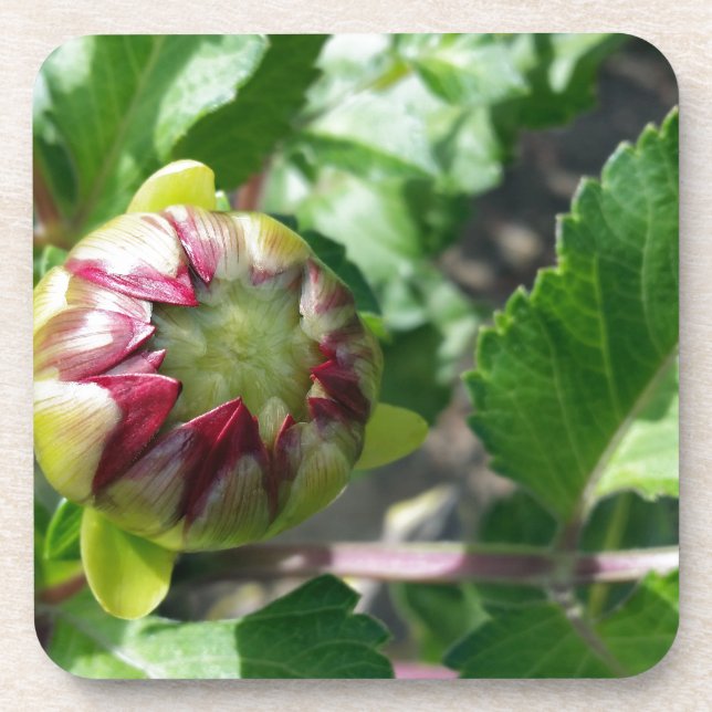 Porta-copo botão outono (Frente)