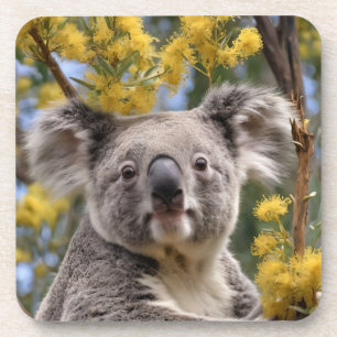 Porta-copo Bovinos Amarelos E Urso De Koala,