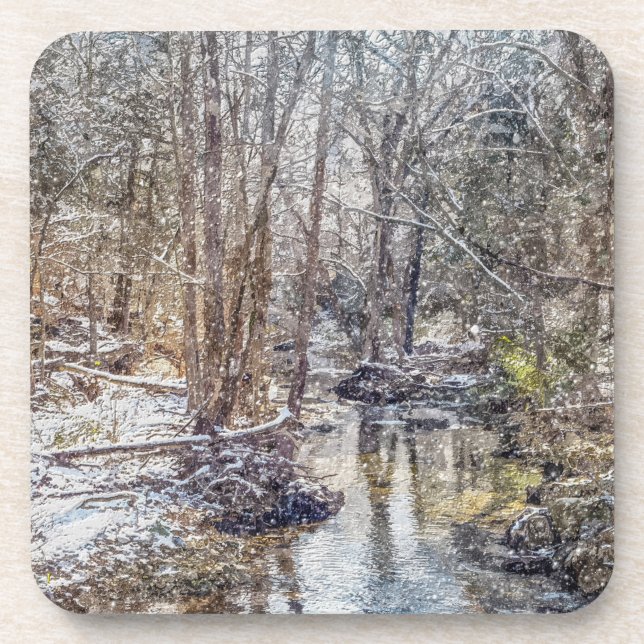 Porta-copo Branson Fall Creek Winter Snow Painterly (Frente)