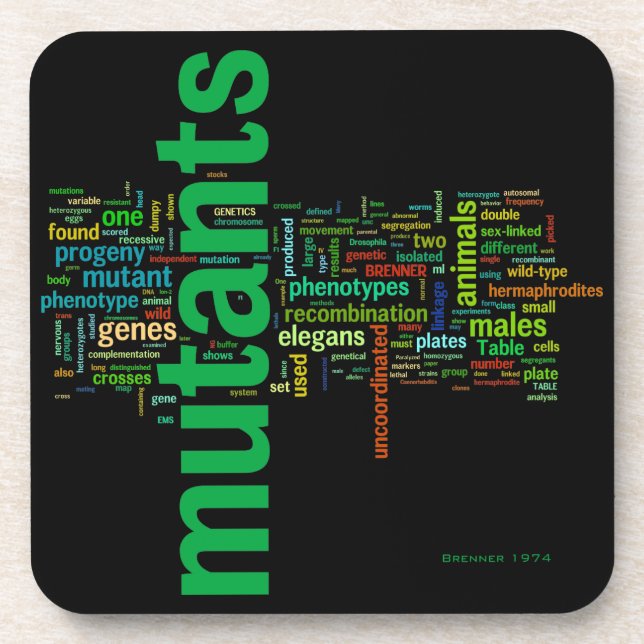 Porta-copo brenner74c (Frente)