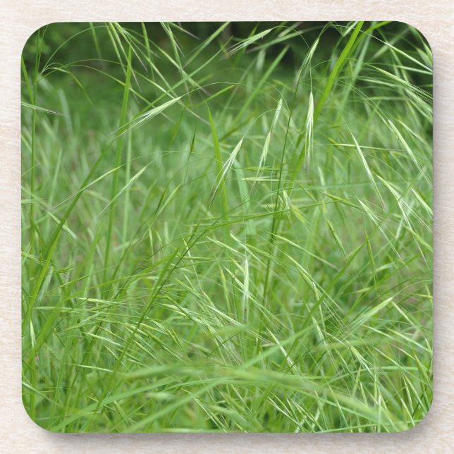 Porta-copo Bromus tectorum (Frente)