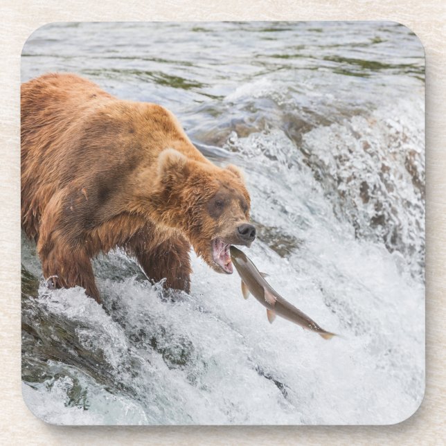 Porta-copo Brown Bear Catches Red Salmon (Frente)