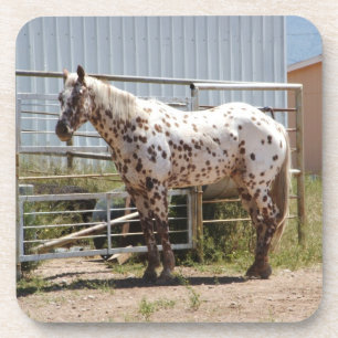 Porta-copo Brown manchou portas copos do cavalo do appaloosa