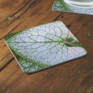 Porta-copo Brunnera Macrofillum Plant Leaf Floral
