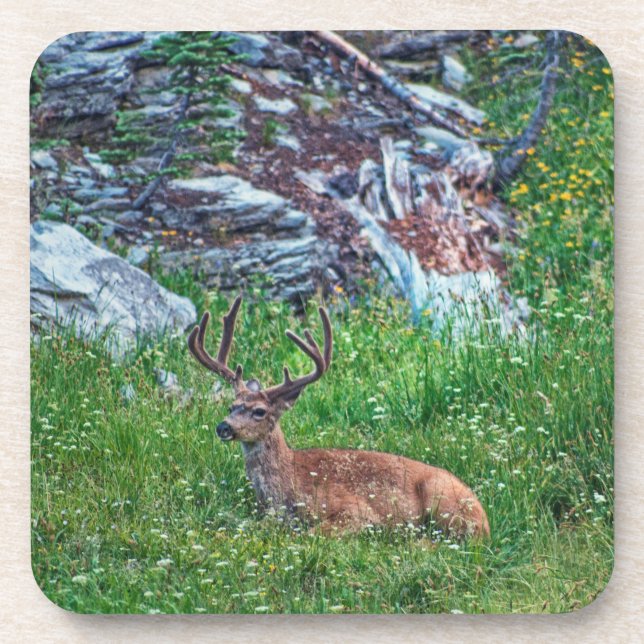 Porta-copo Buck De Cama (Frente)