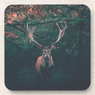 Porta-copo Buck Deer Wild Animal