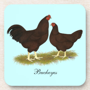 Porta-copo Buckeye Chickens
