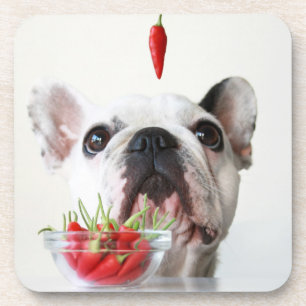 Porta-copo Buldogue francês que olha uma pimenta vermelha