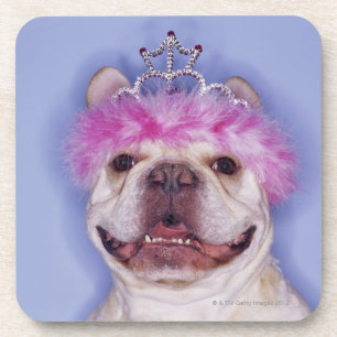 Porta-copo Buldogue que veste a tiara