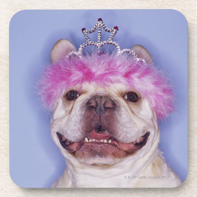 Porta-copo Buldogue que veste a tiara (Frente)