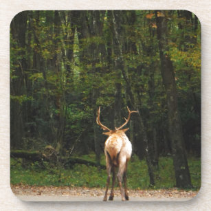 Porta-copo Bull Male Elk no outono