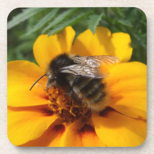 Porta-copo Bumble portas copos da abelha