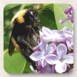 Porta-copo Bumblebee On Lilac fecha por djoneill