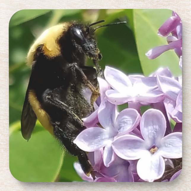 Porta-copo Bumblebee On Lilac fecha por djoneill (Frente)