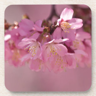 Porta-copo Buquê Delicado Rosa de Flores de Cerejeira Sakura