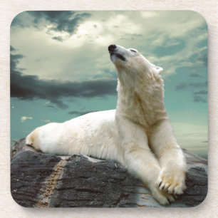 Porta-copo Caçador branco do urso polar na rocha