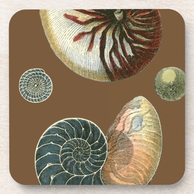 Porta-copo Cacau (Frente)