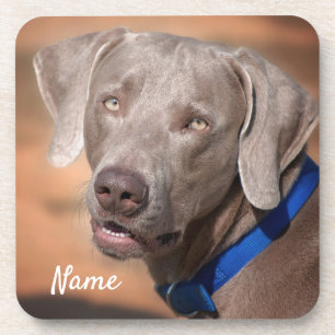 Porta-copo Cachorro-Cachorro Personalizado do Weimaraner