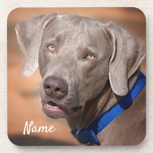 Porta-copo Cachorro-Cachorro Personalizado do Weimaraner (Frente)