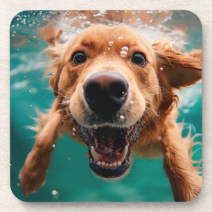 Porta-copo Cachorro Feliz da Raça Golden Retriever Nadando Su
