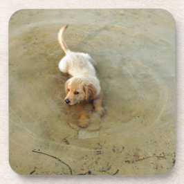 Porta-copo cachorro fofo