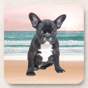 Porta-copo Cachorro francês fofo na praia ao sol na água