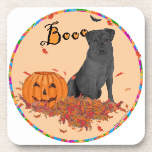 Porta-copo Cachorro Labrador Retriever Preto Boo!