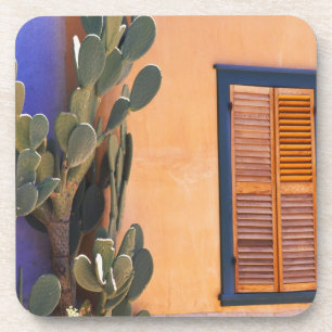 Porta-copo Cacto do sudoeste (Opuntia dejecta) e