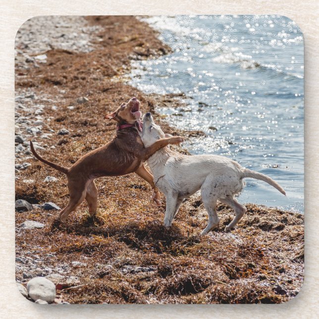 Porta-copo Cães na praia (Frente)