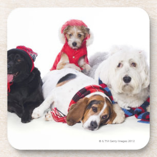 Porta-copo Cães que vestem acessórios do inverno