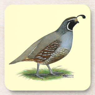 Porta-copo California Valley Quail