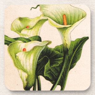 Porta-copo calla lily calla lily