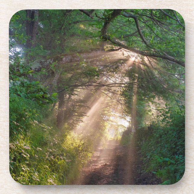 Porta-copo Caminho da Floresta (Frente)
