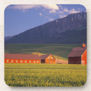 Porta-copo Campo de trigo no Vale de Wallowa, logo fora