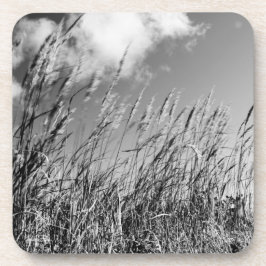 Porta-copo campos de trigo