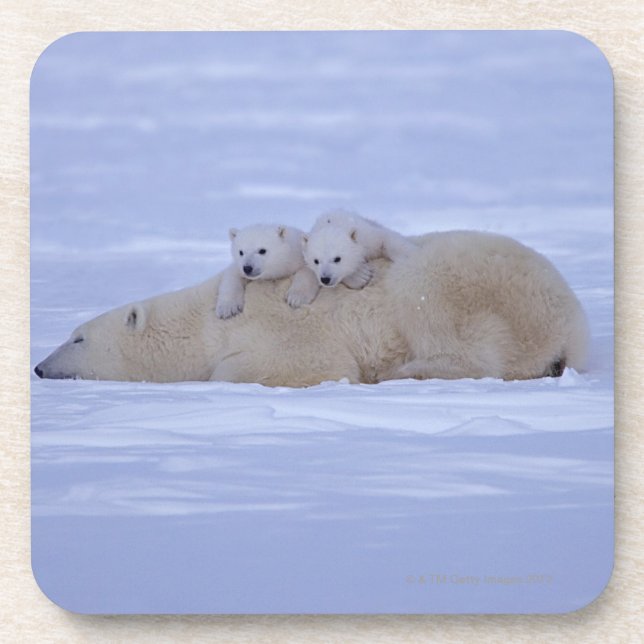 Porta-copo Canadá (Frente)