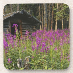 Porta-copo Canadá, Yukon, área do rio Ross, cabine abandona