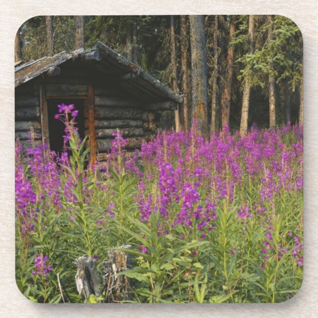 Porta-copo Canadá, Yukon, área do rio Ross, cabine abandonada (Frente)