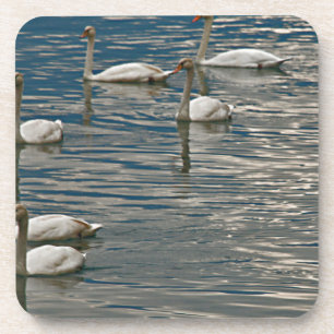 Porta-copo Canção de cisne