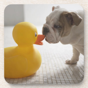 Porta-copo Cão com pato plástico