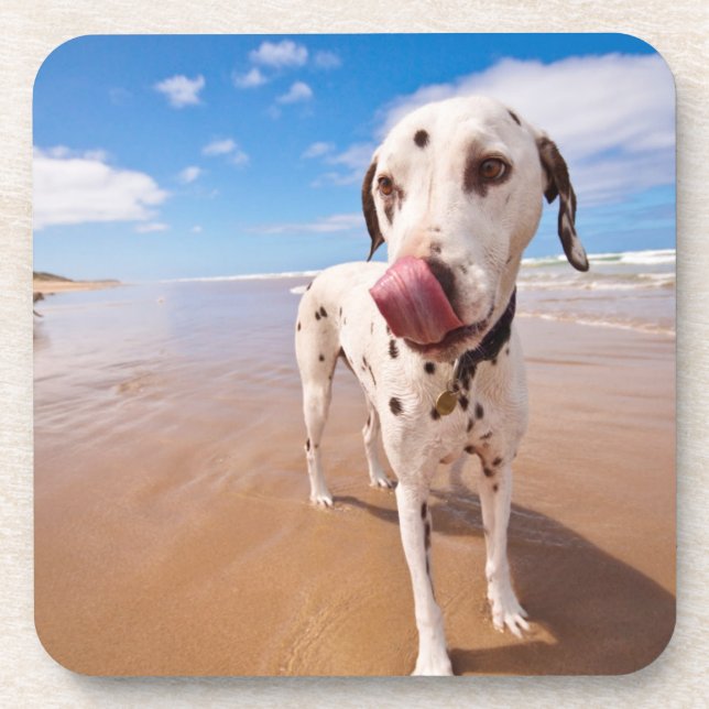 Porta-copo Cão Dalmatian na praia (Frente)