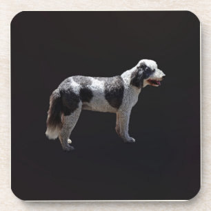 Porta-copo Cão de Água Português