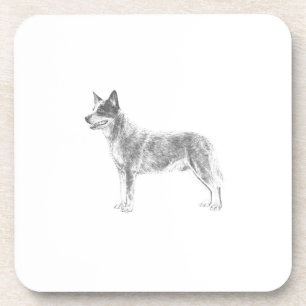 Porta-copo Cão de Bovinos Australiano