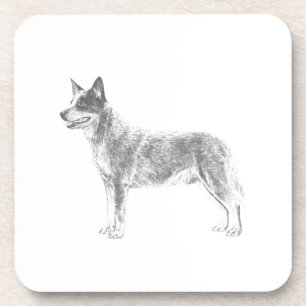 Porta-copo Cão de Bovinos Australiano