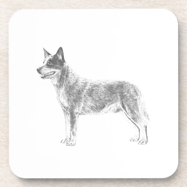Porta-copo Cão de Bovinos Australiano (Frente)