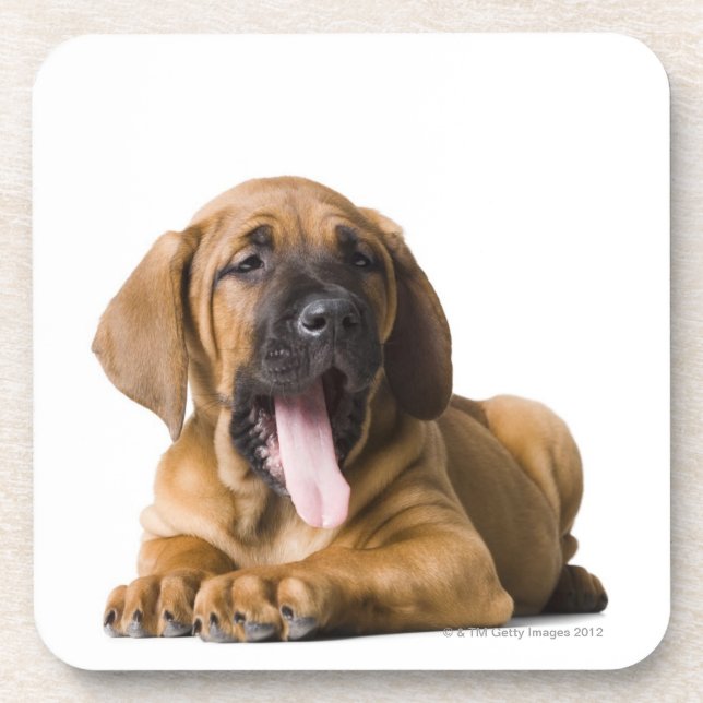 Porta-copo Cão de filhote de cachorro 2 (Frente)