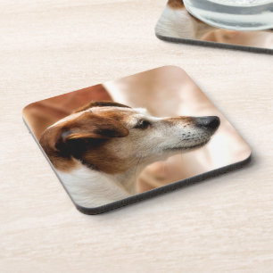 PORTA-COPO CÃO DE RUSSELL TERRIER DO JAQUE